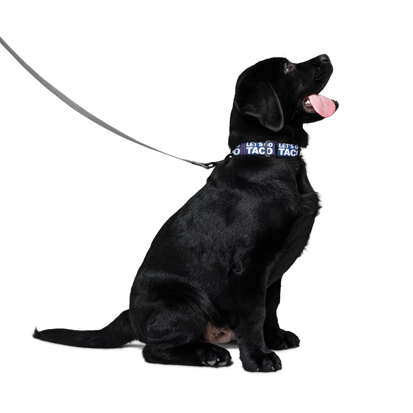 Let’s Go Taco pet collar from 8647 NOW alternate product view