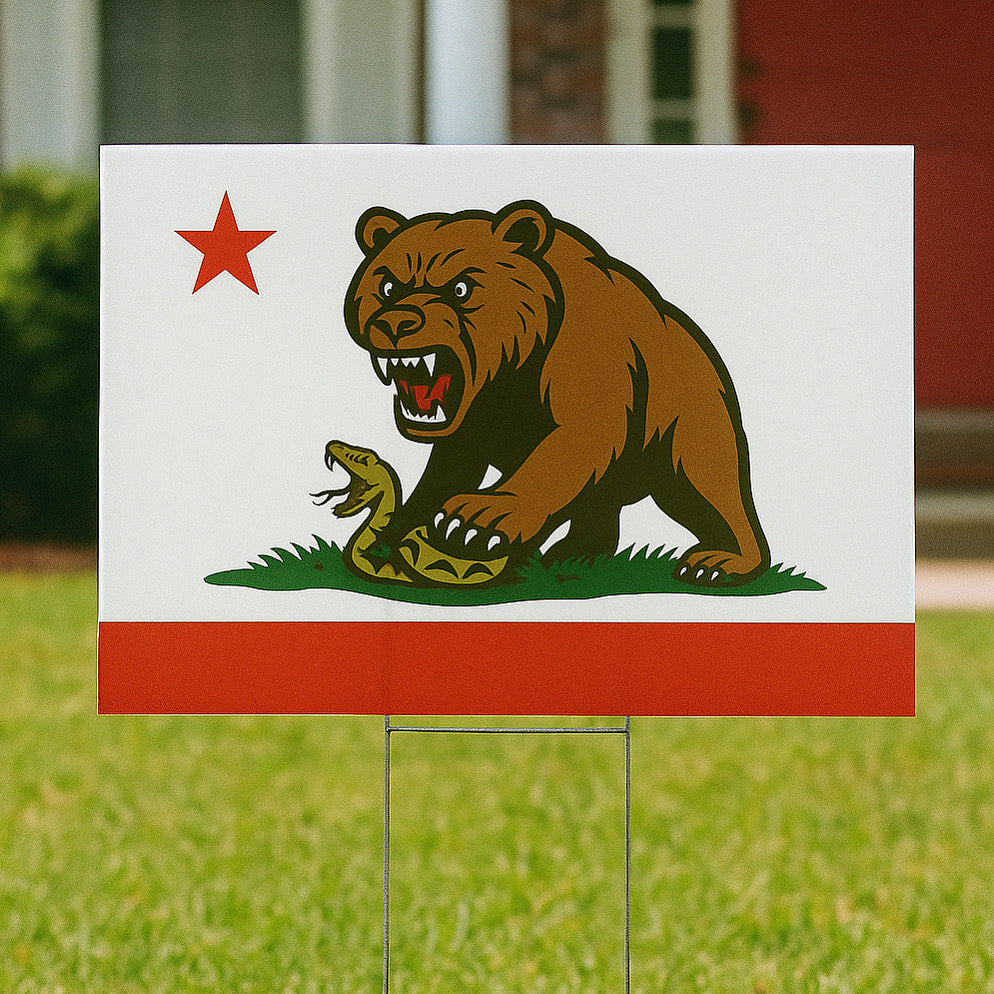 CA Strong Protest Sign from 8647 NOW
