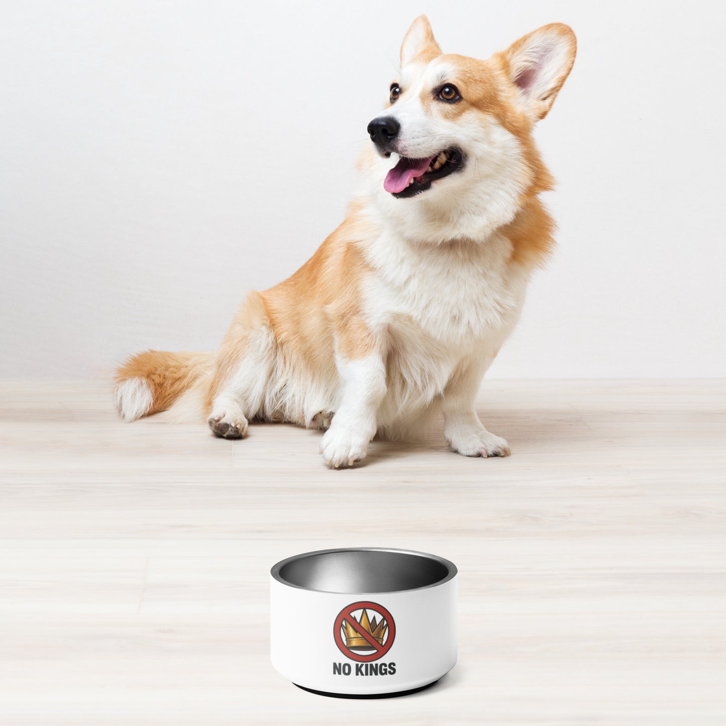 No Kings pet bowl from 8647 NOW alternate product view