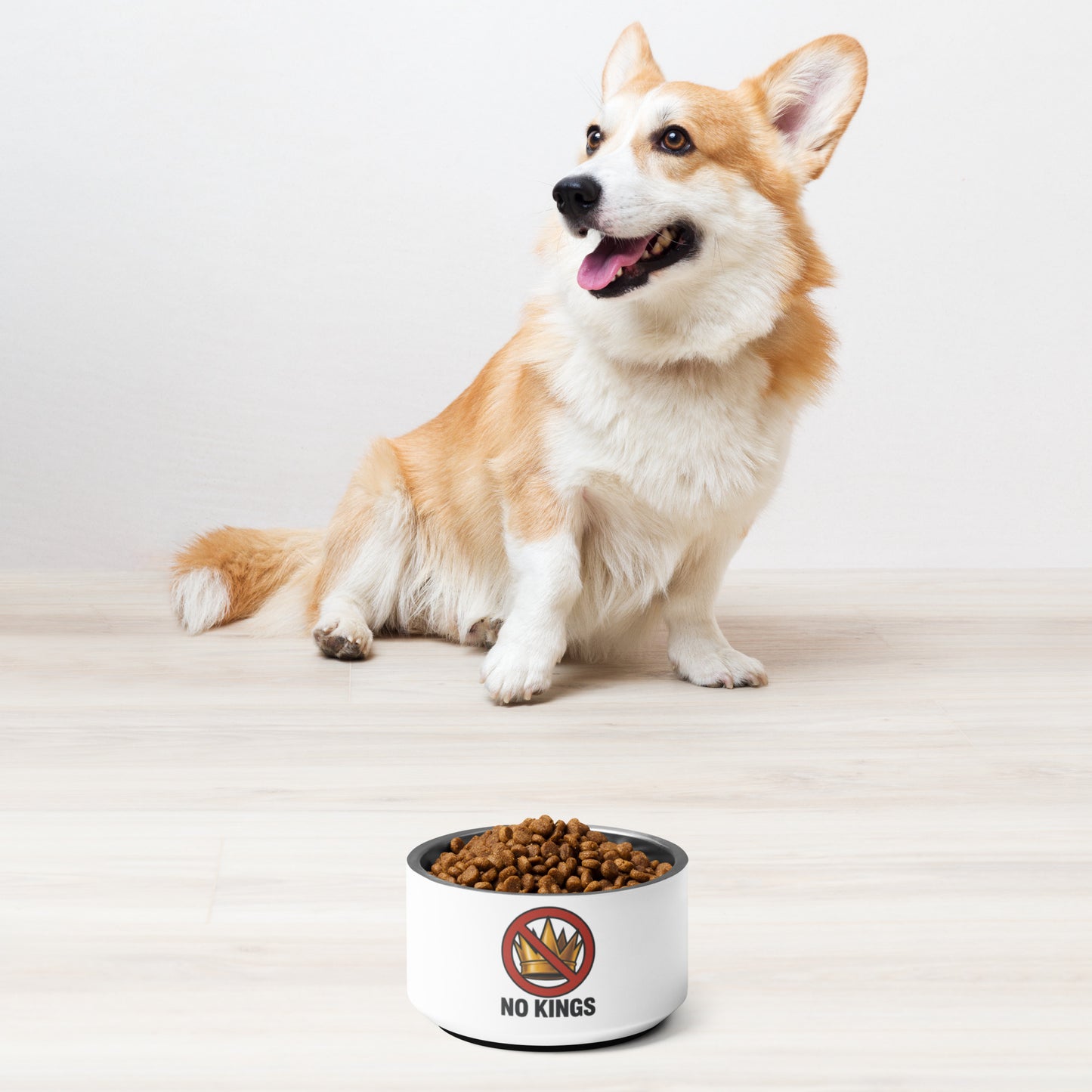 No Kings pet bowl from 8647 NOW additional product view