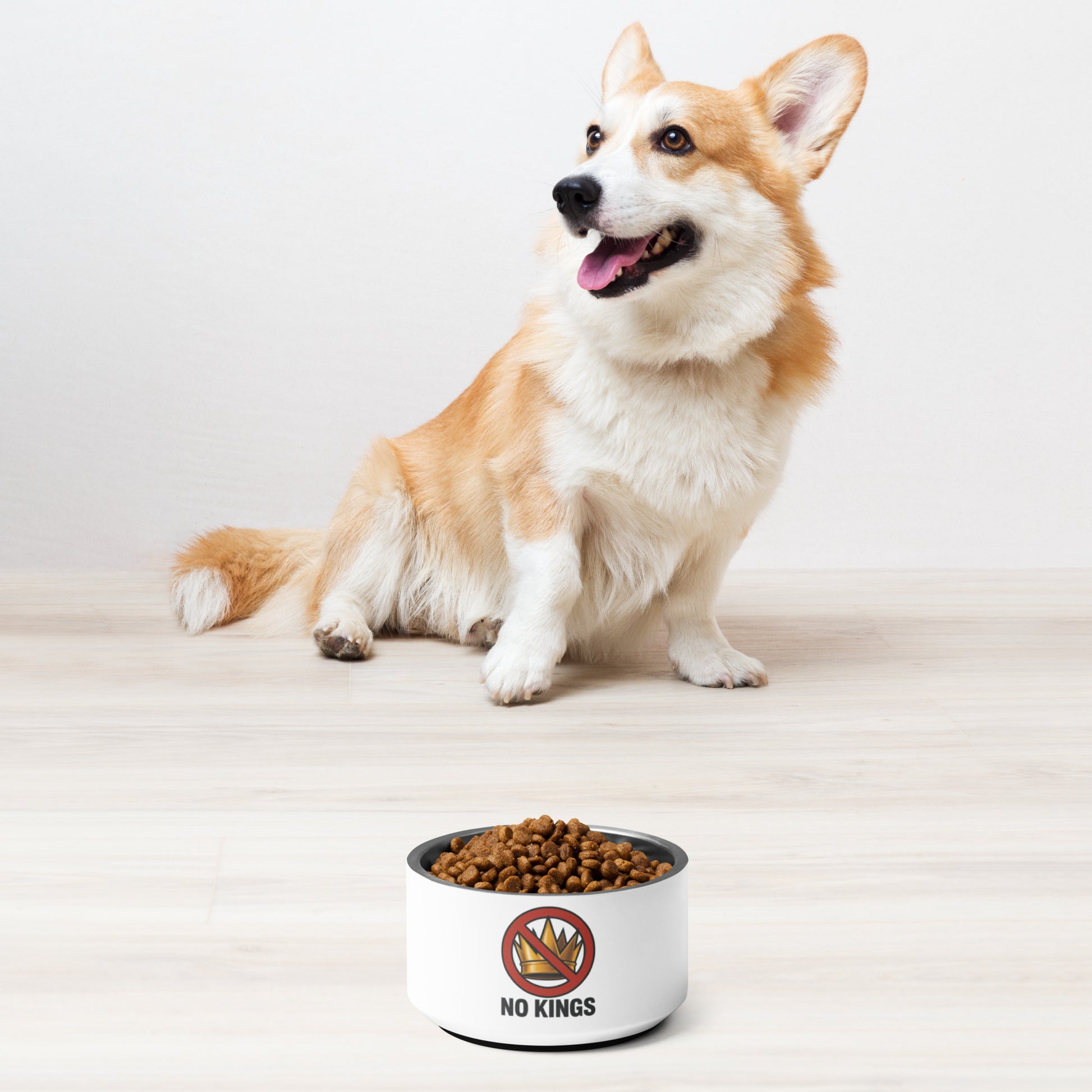 No Kings pet bowl from 8647 NOW additional product view