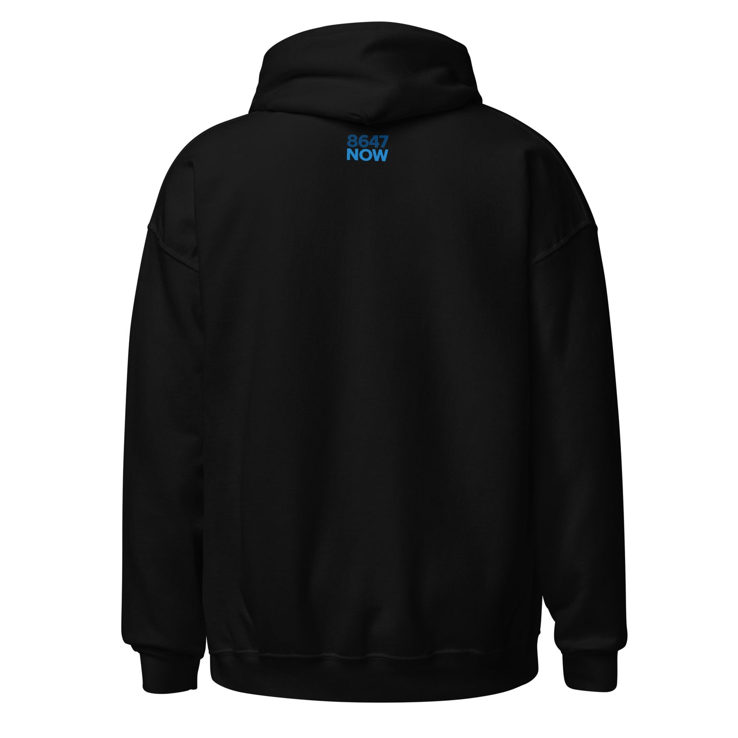 No Kings Hoodie — Black back product mockup from 8647 NOW