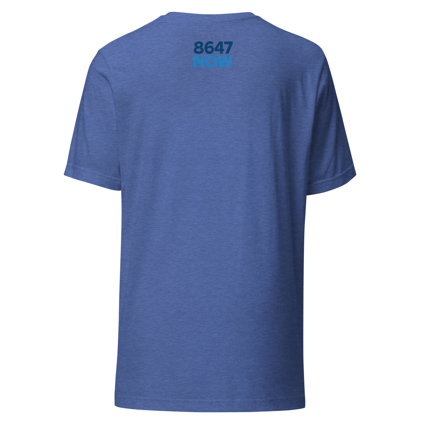 FDT Silhouette Tee — Heather True Royal back mockup from 8647 NOW