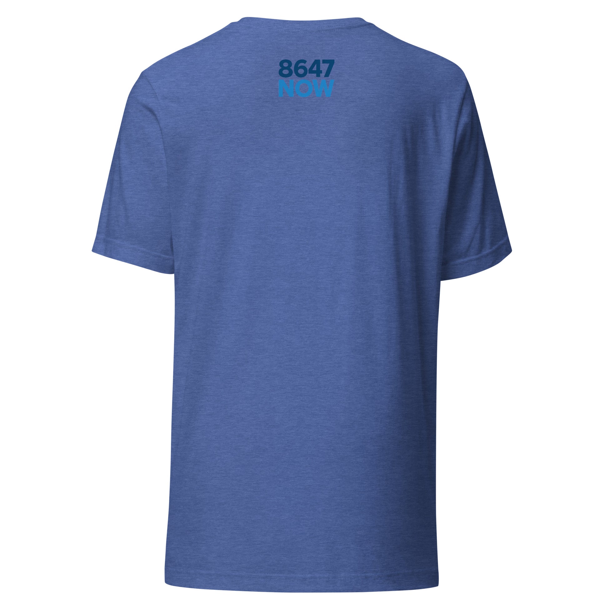 FDT Silhouette Tee — Heather True Royal back mockup from 8647 NOW